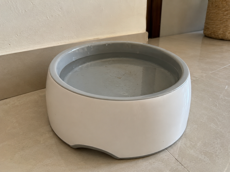 Tazón común con agua turbia
