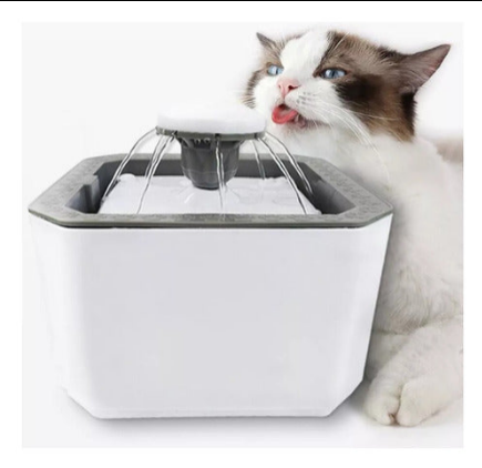 Gato bebiendo de la fuente TREGUA
